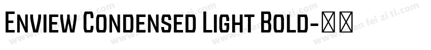 Enview Condensed Light Bold字体转换